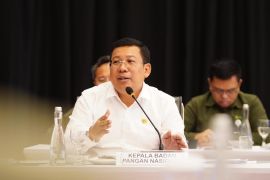 Bapanas dorong percepatan swasembada untuk penuhi pangan dalam negeri