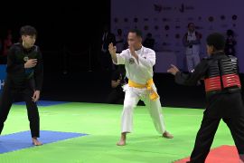 Olimpiade jadi misi penting Kejuaraan Dunia Pencak Silat, kata Menpora