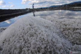 KKP siapkan strategi capai swasembada garam pada 2027