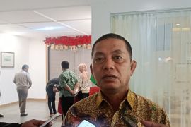 Pemprov: Daging babi masuk Papua harus dibatasi cegah virus ASF