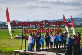 PGN bersama BRIN dan Pemkot Semarang garap padi Biosalin 20 ha di pesisir utara