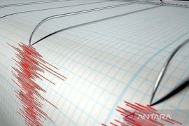 Gempa magnitudo 5,2 guncang barat laut Tanimbar, tidak potensi tsunami