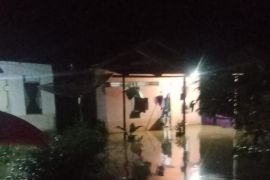 Puluhan rumah di Aia Gadang Pasaman Barat terendam banjir