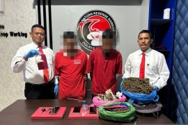 Polres Aceh Barat tangkap dua pengedar narkotika sabu dan 1,7 kg ganja