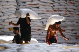 Menko Pangan sebut beras khusus yang diproduksi di dalam negeri tidak kena PPN 12 persen