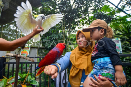 Wisata Kinantan Zoo di Bukittinggi Page 1 Small