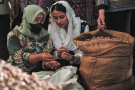 Potensi ekspor pinang Jambi