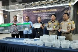 Bea dan Cukai Juanda gagalkan ekspor satwa hidup