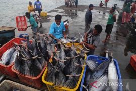 KKP telah salurkan bantuan sektor perikanan tangkap capai Rp104,8 miliar