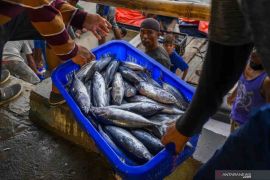 KKP pastikan ketersediaan ikan selama Ramadhan dan Lebaran aman