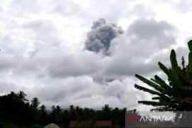 Gunung Ibu kembali semburkan abu vulkanik