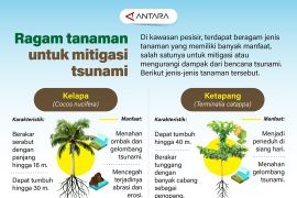 Ragam tanaman untuk mitigasi tsunami