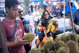 Sampit 'banjir' durian harga mulai Rp5 ribu
