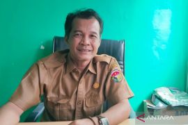 Realisasi peremajaan sawit Mukomuko capai 906 hektare