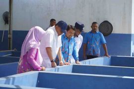 KKP memastikan mutu budi daya ikan produk aman dan bergizi