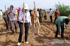 South Kalimantan readies 17,000 ha land for food self-sufficiency