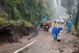 Polisi pastikan longsor di akses Bromo via Malang tidak timbulkan korban jiwa