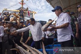 Menteri Kelautan dan Perikanan cek stok ikan di TPI Karangsong