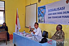 DKP Maluku tingkatkan kesadaran masyarakat jaga  spesies laut