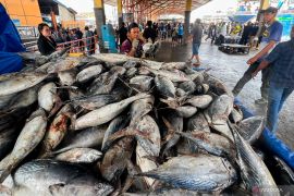 Senin pagi, harga ikan tongkol Rp32.050/kg, daging ayam Rp38.120/kg