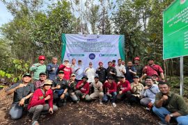 TTA Group gagas program perawatan dan rehabilitasi lahan gambut