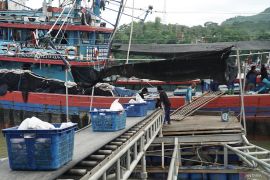 Target dan capaian produksi ikan tangkap Pelabuhan Popoh 2024