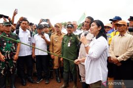 Mentan Amran optimistis cetak sawah Kalsel bisa selesaikan impor beras