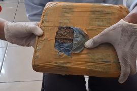 Sebanyak 55 kilogram ganja tangkapan BNNP Babel dimusnahkan