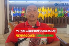 Petani Cabai Boyolali Mulai Memproduksi Cabai Kering