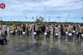 Program rehabilitasi mangrove di Kaltara capai 6.474 hektare