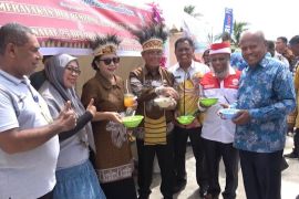 Pesta rakyat ramaikan HUT ke-75 Provinsi Papua