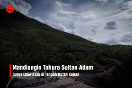 Feature - Mandiangin Tahura Sultan Adam Surga Ekowisata di Tengah Hutan Kalsel Bagian 3