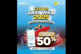 Persembahan di Tahun Baru 2025, PLN Beri Diskon Tambah Daya 50 Persen