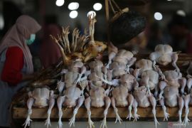 Harga daging ayam capai Rp41.500/kg, cabai rawit Rp83.100/kg