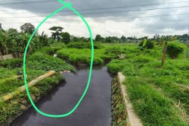 Cari sumber pencemaran kali di Tangerang, DLHK gunakan drone