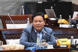 DPR: Pajak barang mewah berdampak positif untuk UMKM