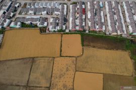 3.000 hektar sawah di Serang alih fungsi jadi lahan industri hingga perumahan