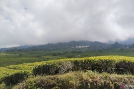 Brigade evakuasi seorang pendaki tewas di puncak Gunung Dempo Sumsel
