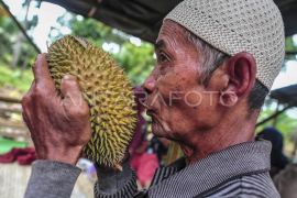 Festival Durian Teluk 2025 di Batanghari