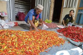 Harga cabai di Mataram capai Rp90.000 per kilogram