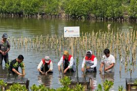 PIS meraih skor ESG BBB komitmen jalankan praktik bisnis berkelanjutan