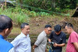 BKSDA Sumbar pastikan harimau di Sungai Batang Agam hanya melintas