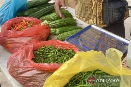Disperindag Kota Batam pastikan harga kebutuhan pokok stabil setelah libur