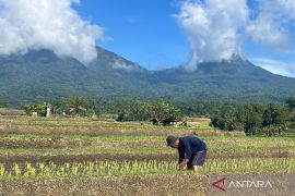 Jatiluwih gelar "Ngajak Nandur" dorong pariwisata berkelanjutan