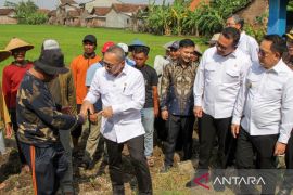Govt to improve irrigation systems in East Java: minister