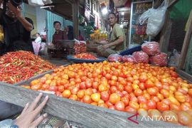 Kesejahteraan petani Kaltim  meningkat sepanjang 2024