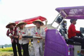 Mentan : Bangkalan daerah pertanian produktif yang dapat dicontoh