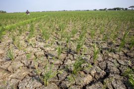 Babel kemarin, Antisipasi kemarau panjang hingga sanksi oknum guru jual buku