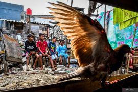 Indonesia shifts anti-poverty strategy toward empowerment programs