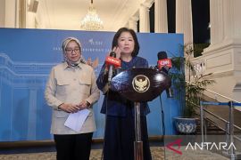 Tingkatkan kepatuhan pajak, Prabowo bentuk Komite Transformasi Digital